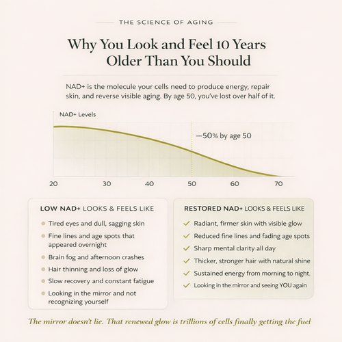 NAD+ Reverse Aging at the Cellular Level