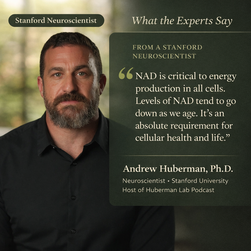 NAD+ Reverse Aging at the Cellular Level