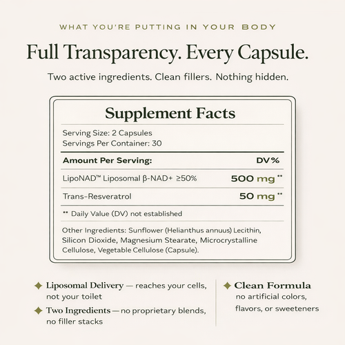 NAD+ Reverse Aging at the Cellular Level